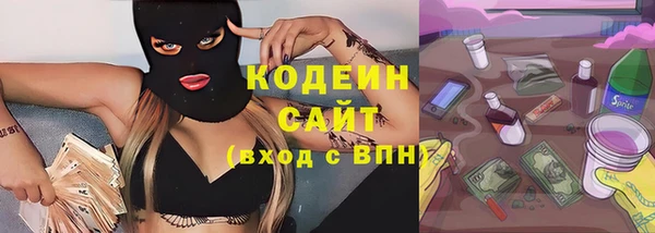 дурь Елизово