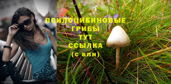 дурь Елизово