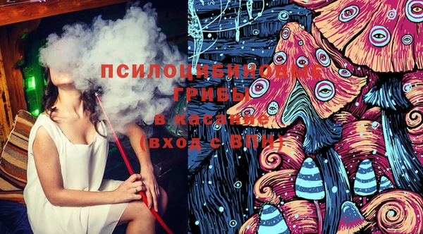 дурь Елизово