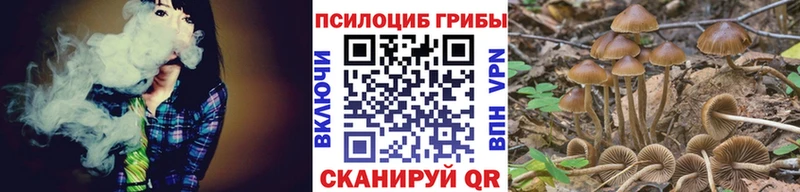 Псилоцибиновые грибы Cubensis  Купить где  Лагань 